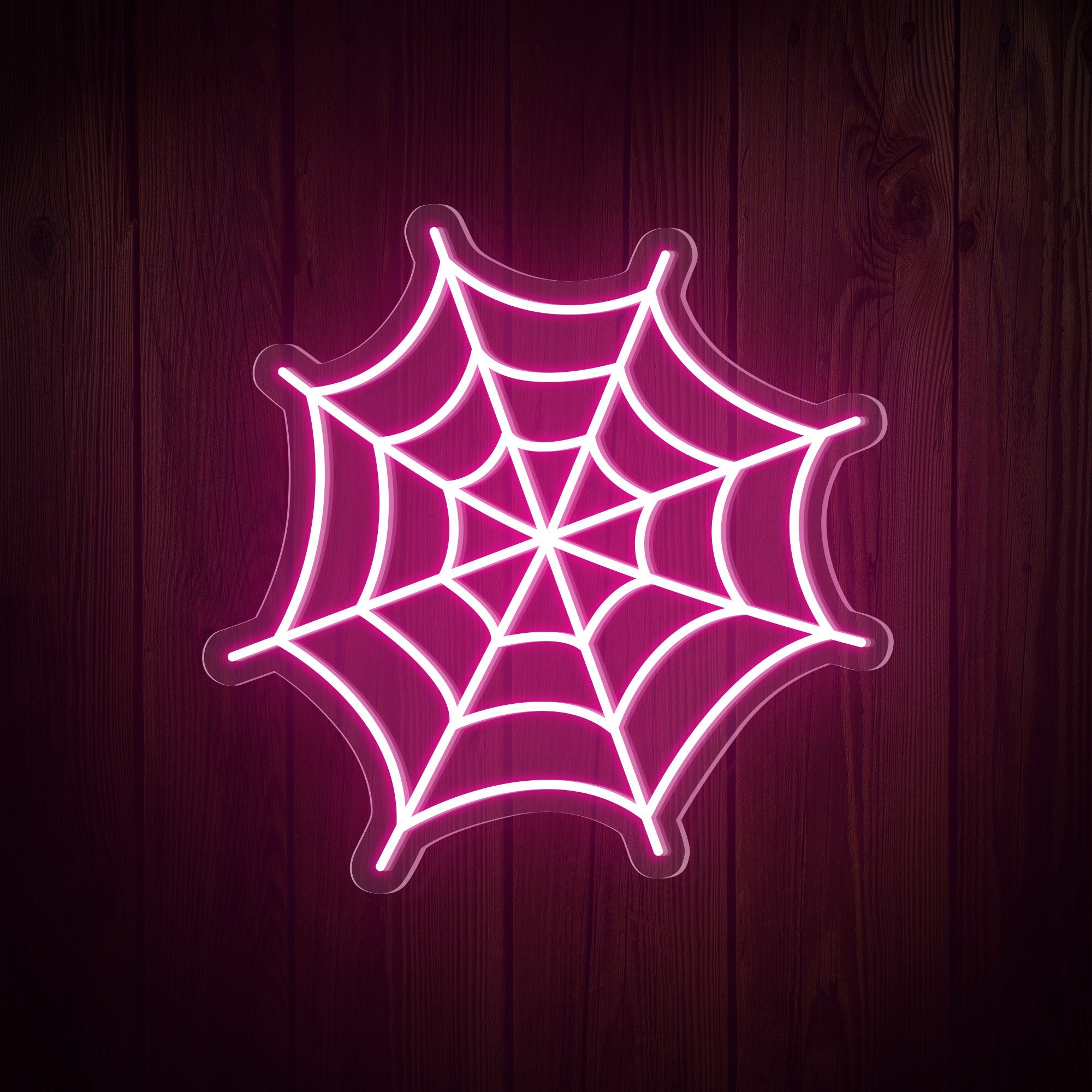 Spider Web Halloween Neon Sign