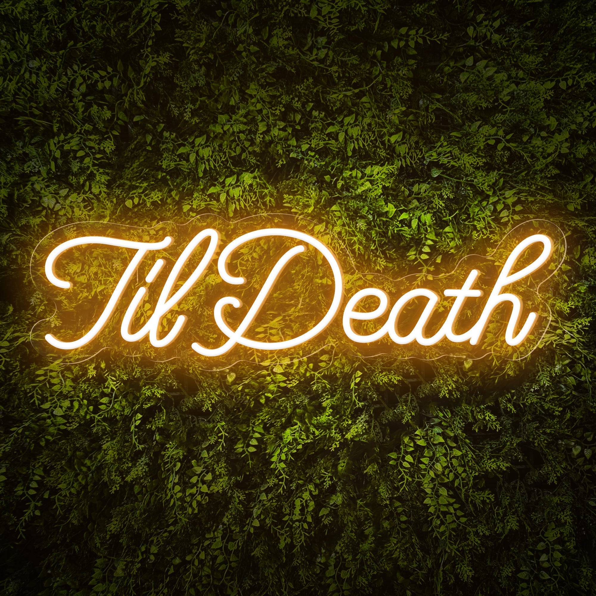 "TilDeath" Curlicued Words Neon Sign for Room