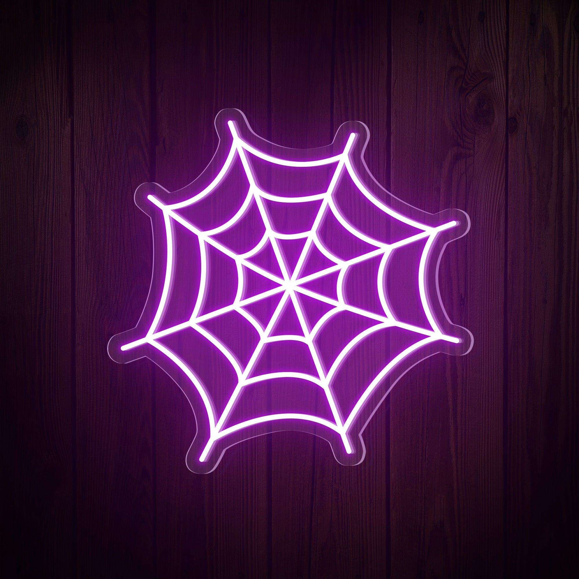 Spider Web Halloween Neon Sign